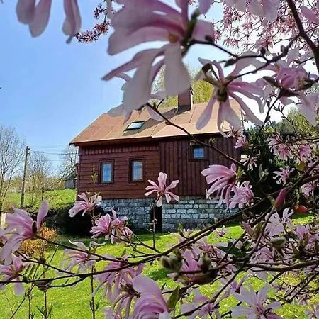 In 51896 Nyaraló